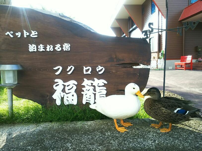 Fukurou Villa Kushimoto Exterior photo